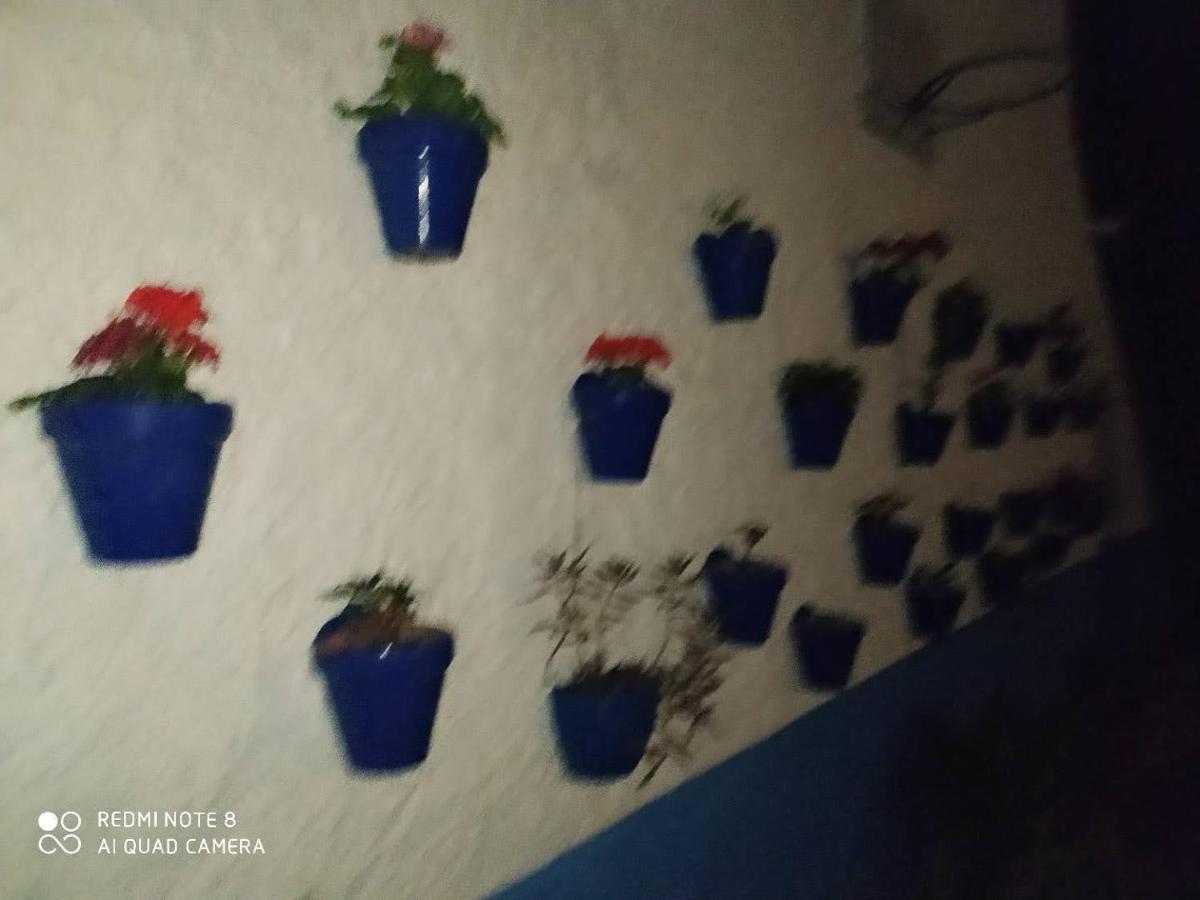 Hostal Finca Mirador Эль-Педросо Экстерьер фото